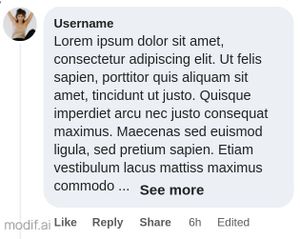 Fake Facebook Comment Generator